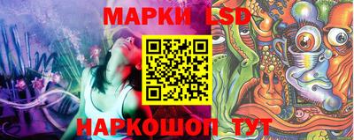 гидра Можга